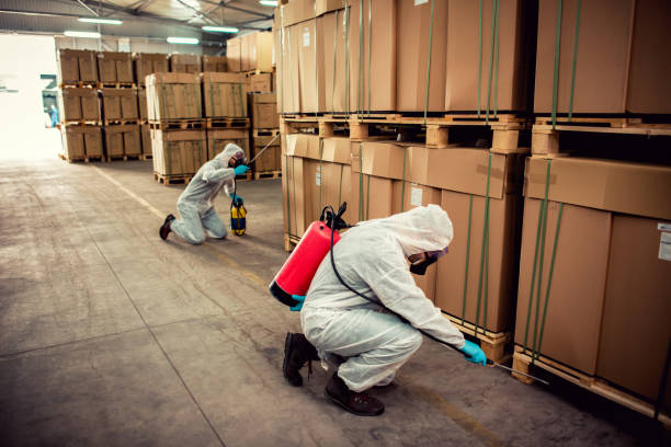 Best Pest Prevention Services  in Hillcrest, CA