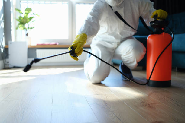 Pest Control Cost in Hillcrest, CA
