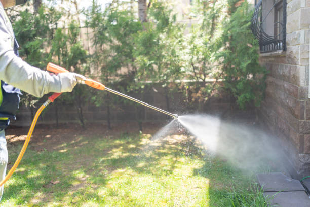 Best Wasp Removal Services  in Hillcrest, CA