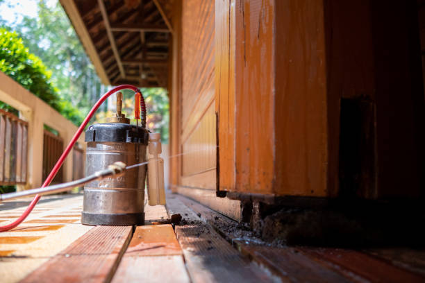 Best Exterminator Services  in Hillcrest, CA